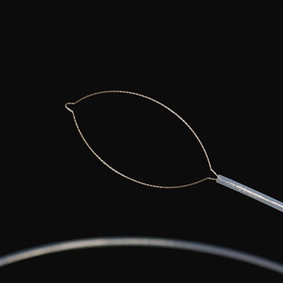 Rahang jawak awak asing asing