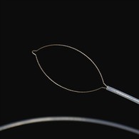 Tipe Tipe Élmu Asing